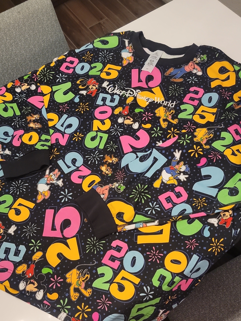Disney Black Multicolor 2025 Celebration Sweatshirt